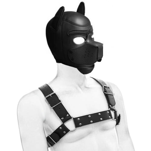 Complete Puppy Play Set